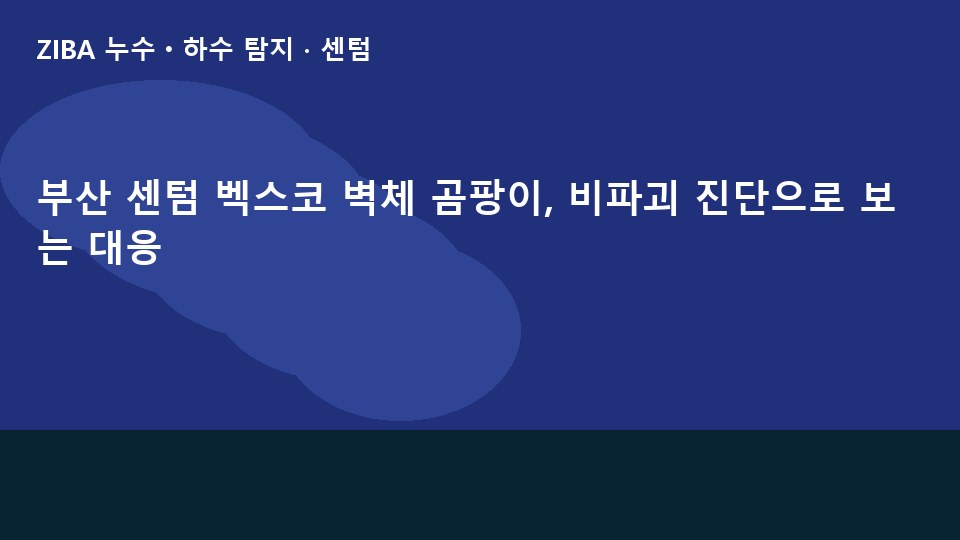 부산 센텀 벡스코 벽체 곰팡이, 비파괴 진단으로 보는 대응