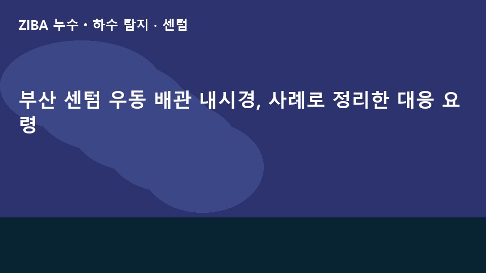 부산 센텀 우동 배관 내시경, 사례로 정리한 대응 요령